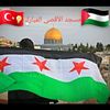 king_tamer