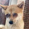 ayazakitainu