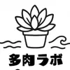 多肉ｍａｍａ🌱