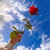 zhie_1428