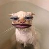 meen____nnn