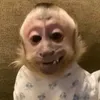juninhovtt