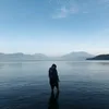 bluekinm