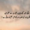 riaz___chandio