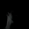 _lambev09_
