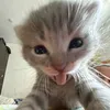 akerezzzy