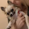 mariannaki_mimi