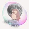 nightowlfizz