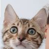 mirthedejong6
