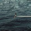 __username158