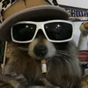 el_gato._silvwstro