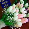 saheed388