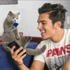 aaronsanimalsofficial