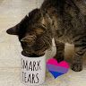 hardykat1027