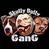 skullybullygang