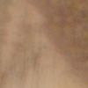 jamie_bunny1