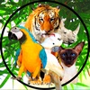 animalvibez.com