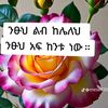 user60142266