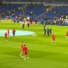 cyno_davies_7