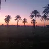 _jh200