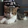 oneshop_168