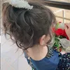 seedra_25