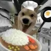 takedakadyu3