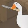 _a_duck_