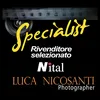 luca_nicosanti