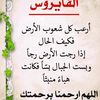 lema0999
