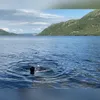 wildlingkatie