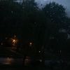 venuss_dessi
