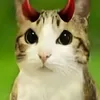kolapepsiborsh