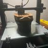 3dprintingwitht