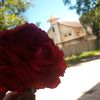 wofa.beauty