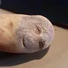 sarahjcn679