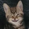xiino_psveiix