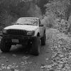 tbanger710