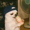 __saulr__