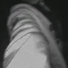 revinaaureliazahira