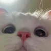 urbabegurlskjskjsk