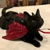 blackcatsyl