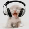 goonzaleez04_