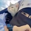 hafizafatima97