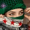 sham_sy114