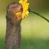 aaaaaaaaajs1