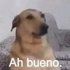 12.leonardo.07