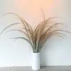 myhomemysanctury