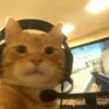 sebbyksc