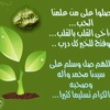 umhussam283